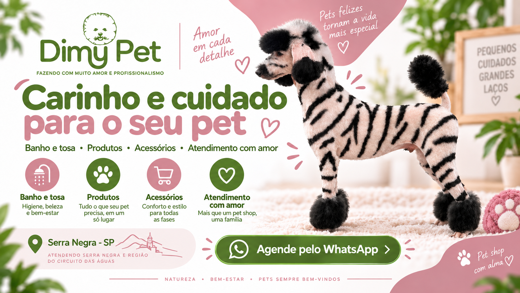 Dimy Pet – Banho, Tosa e Cuidados para seu Pet